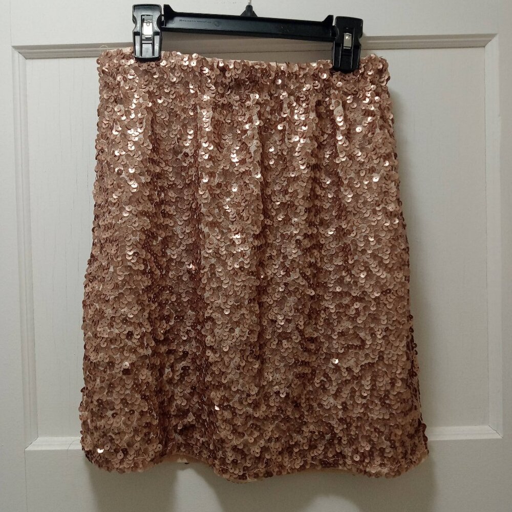 Sequined Skirt